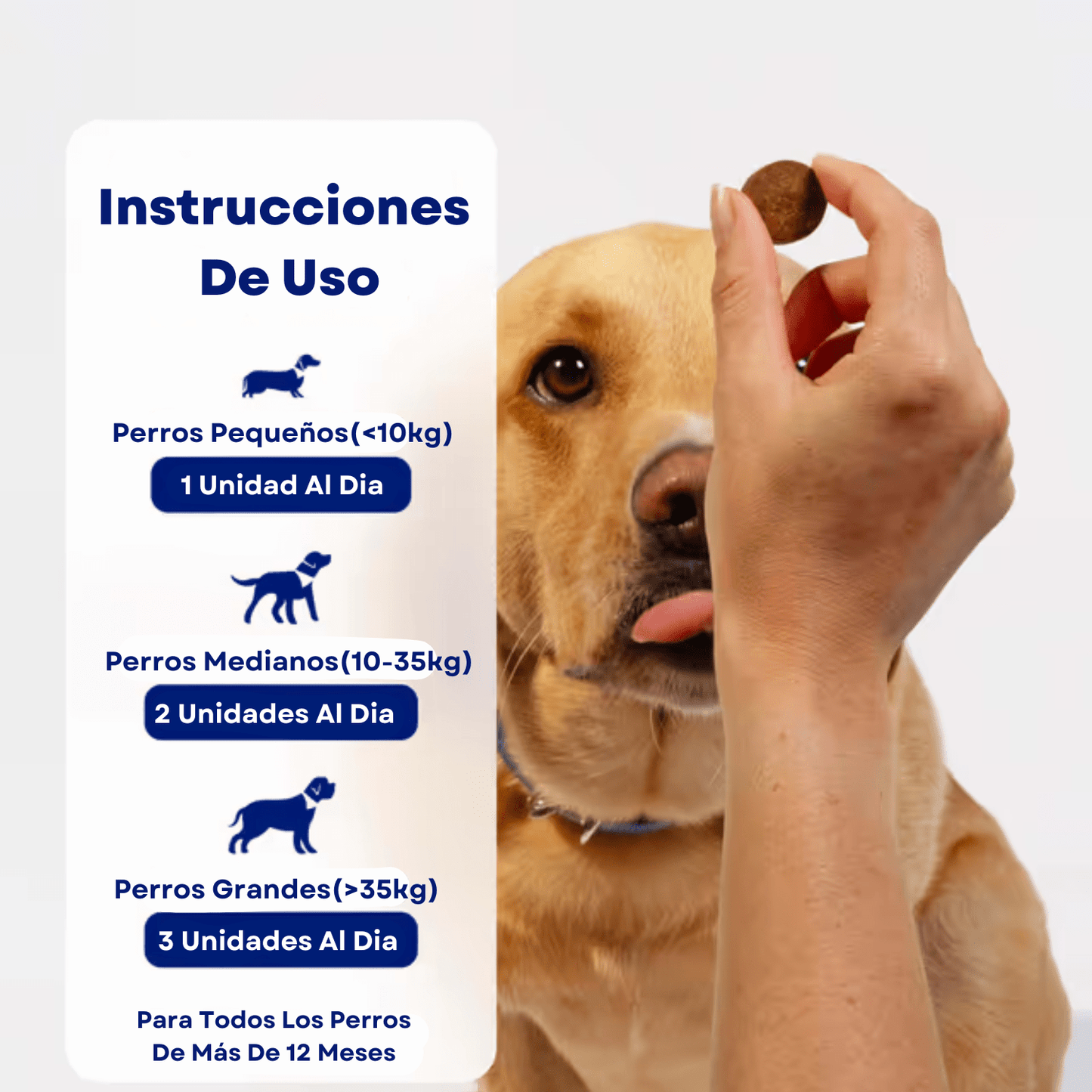 Premium Canine Probiotic Chews: Boost Digestion, Immunity, and Overall Dog Health